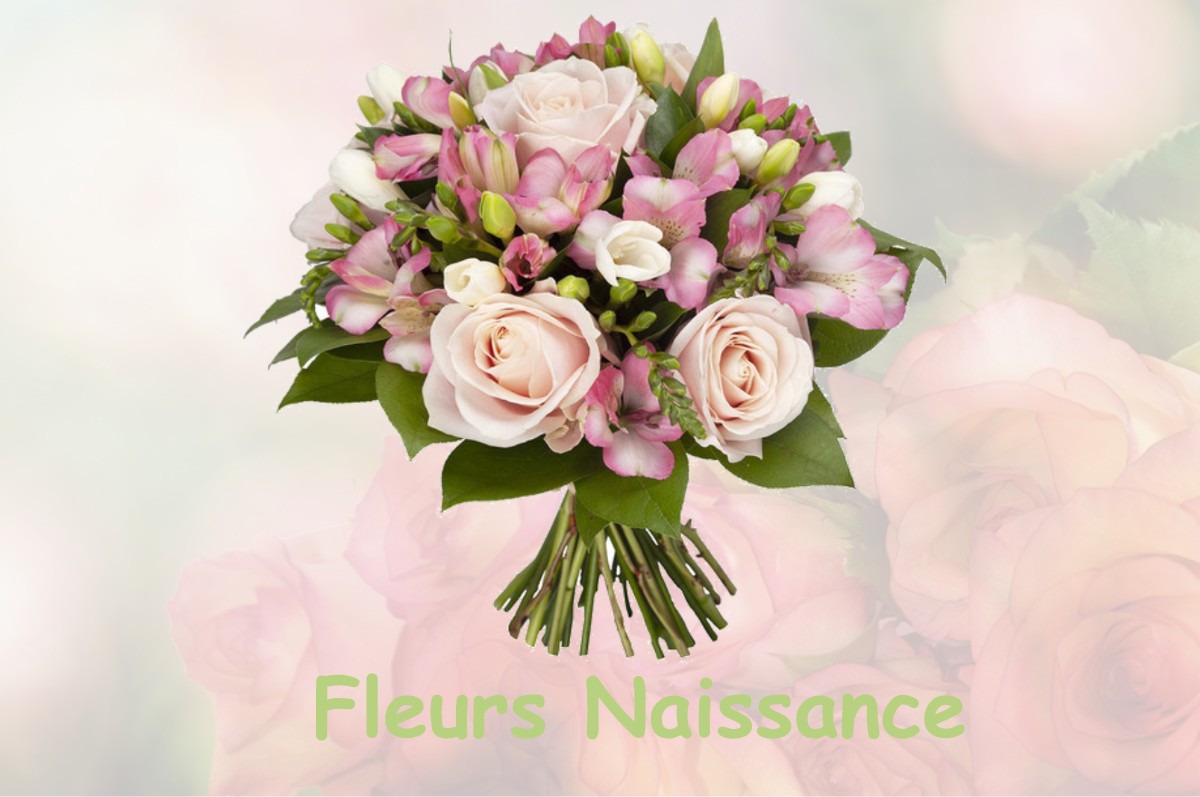 fleurs naissance MIGNERETTE