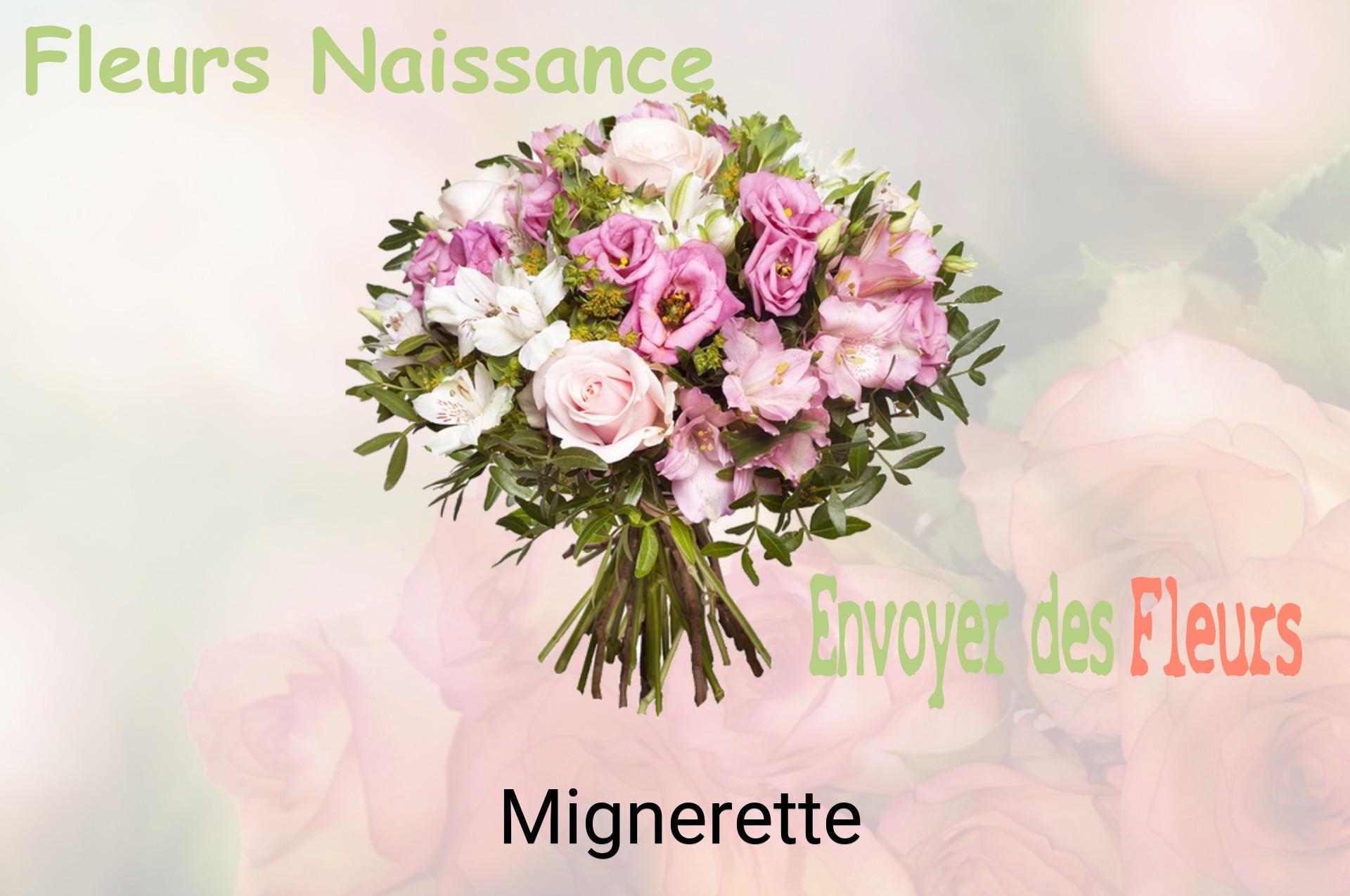 Bouquet de fleurs de naissance livré à Mignerette