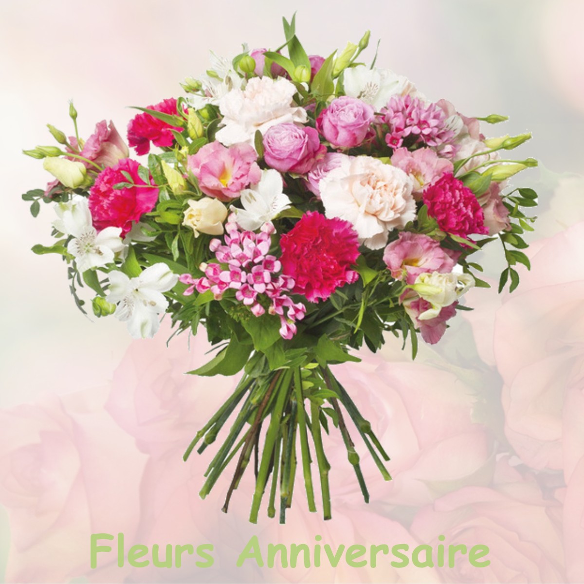 fleurs anniversaire MIGNERETTE