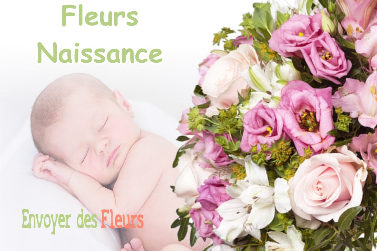 lIVRAISON FLEURS NAISSANCE à MIGNERETTE